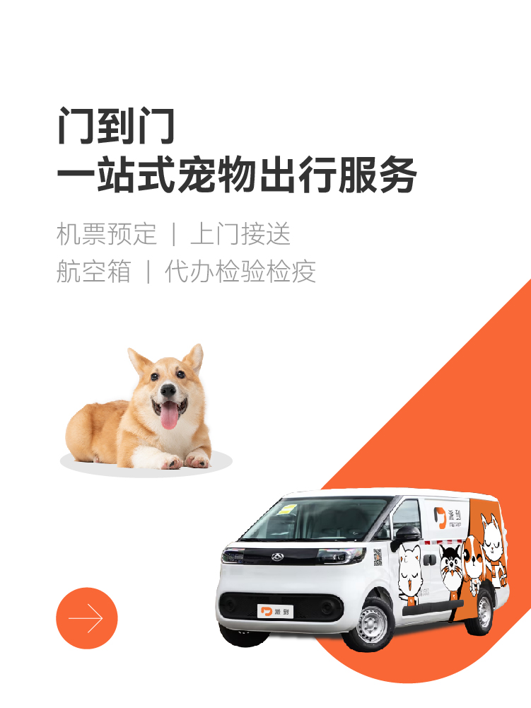 宠物专车,中国 内容 货物 汽车 文件 折叠,爱宠